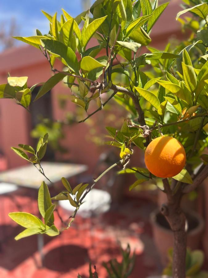 Riad Malfa Marrakesh Eksteriør billede